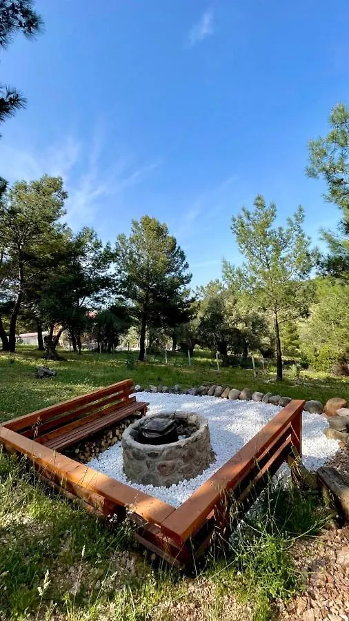 Panurlawoodenhouse Oezel Havuz& Sauna Mavi Horská chata Urla